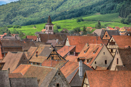 Riquewihr, France. This historic village in the Alsace region of France has become a major tourist destination. Both for its well preserved medieval architecture, as well as a major producer of world famous wines.