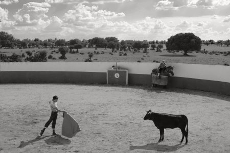 Training bullfighters. Estremadura,, Spain