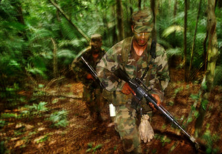 USA Special Forces: jungle warfare training in Panama.