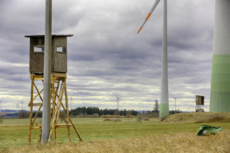 Steinheim, Deutschland