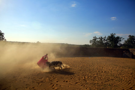 Los Toros de  España