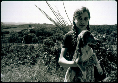 Laura, Extremadura.  España