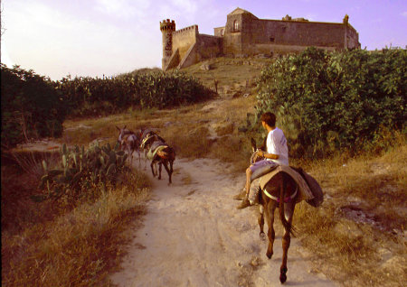 Utrera, España