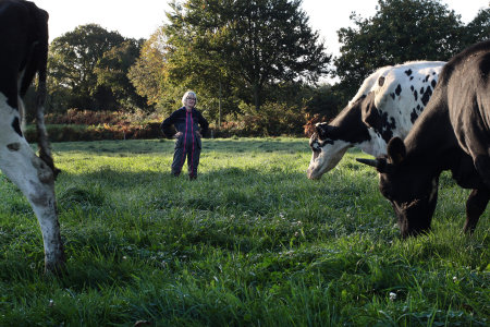 Lait de Bretagne