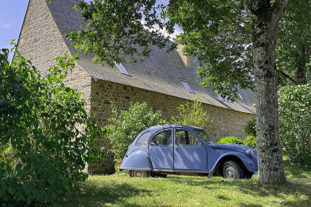 deux chevaux fatigués