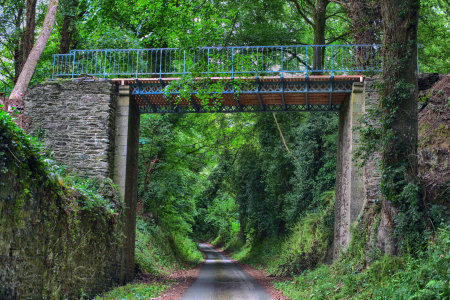 Finie et glorieuse, la passerelle de Gustave Eiffel habite désormais vigoureusement les bois de Bretagne qui l'ont vue naître.